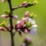 434开奖历史全纪录:回顾往期精彩开奖瞬间 1809js9