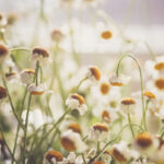 2025134期开奖结果最新公布,速来查看中奖详情 1l7bjsu