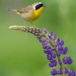 44777开奖结果最新公布,今日幸运号码揭晓 2uvuh