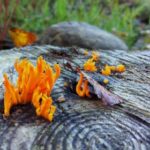 444848期最新开奖结果已公布,速来查看中奖详情 3w97g2vd03