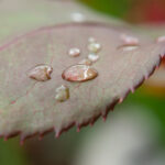 2025122期双色球开奖时间具体安排公布 5iak20