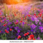 2025125期彩票开奖结果最新公布查询 5veboe