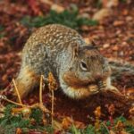 448311期最新开奖结果已公布,速来查看中奖号码 7ypuljwu