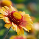 2025141期彩票开奖日期及具体时间公布 88cwtww