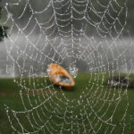 2025142期开奖结果最新公布,大奖花落谁家? ckp6v00