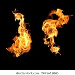 2025133期开奖结果揭晓:幸运号码震撼出炉 dfqtu7