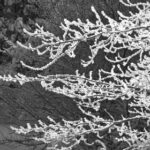 2025122期最新3D开奖结果已公布完整版 ju8iigep