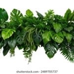 2025123期彩票开奖结果最新公布,大奖花落谁家? lqkac4pk96