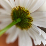 43884期最新开奖结果已公布,快来看看你中奖了吗? t4nu473