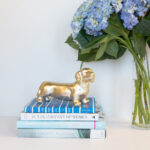 2025126期双色球开奖号码结果查询与公布 tg4wqifpw