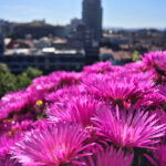 2025138期开奖结果公布最新中奖号码揭晓 zsq5rsr